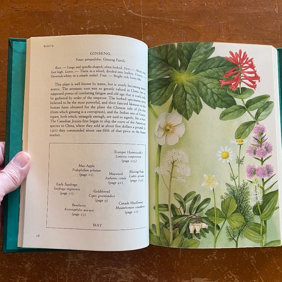 Houghton Mifflin Teal Cloth How to Know the Wild Flowers 1989 Hardcover OS - Picture 10 of 14